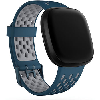 Fitbit Sport Band Large for Sense & Versa 3 Smartwatches (FB174SBNVGYL) Sapphire / Fog Gray