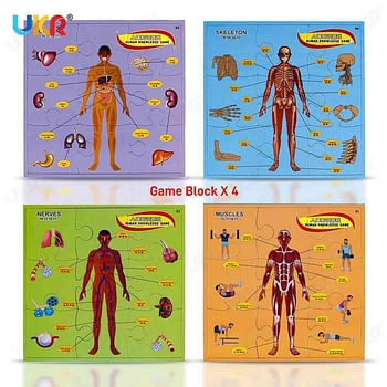 Body Structure Parts Puzzle Board Game