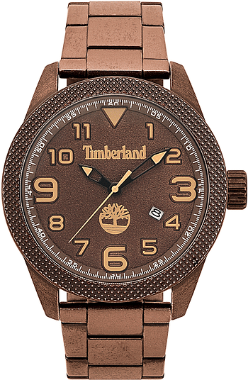 Timberland TBL15359JSQBN-12M Watch For Men Analog Metal