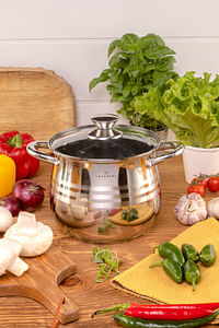 EDENBERG Stainless Steel Stock Pot | Glass Lid with Steam Vent | Sauce Pot- Suitable for Gas, Induction & Electric Cooktop- Silver (5.5 L, Diameter: 20 cm)
