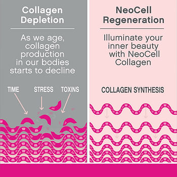 سوبر كولاجين مع فيتامين C والبيوتين - لتقليل تجاعيد البشرة، وتعزيز تبييض البشرة، وصحة الشعر والأظافر - 60 كبسولة