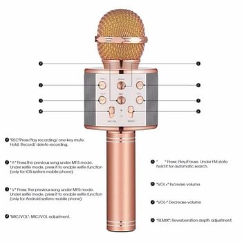 Wireless Handheld Bluetooth Karaoke Microphone With USB KTV Player WS-858 Multicolour