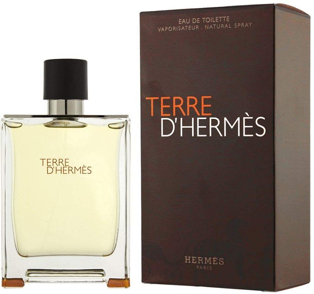 Hermes Terre D'Hermes EDT 100ML For Men