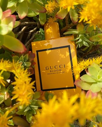 GUCCI BLOOM PROFUMO DI FIORI (W) EDP 50ML