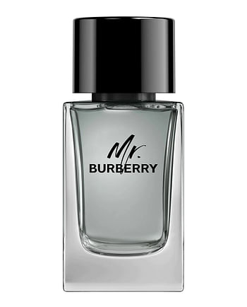 Mr. Burberry EDT 100ML For Men