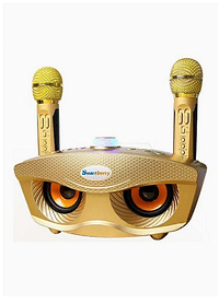 SmartBerry Portable Bluetooth Speaker With Dual Microphone Gold
