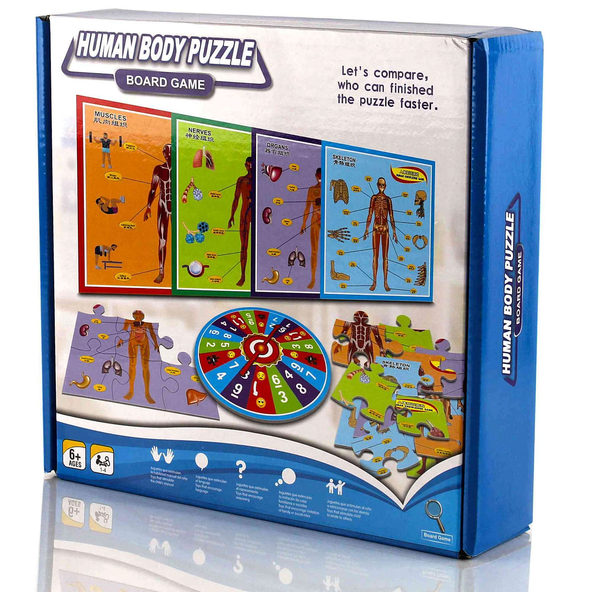 Body Structure Parts Puzzle Board Game