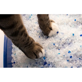 Kitty Paws Crystal Silica Cat Litter -16L