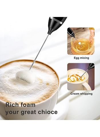 Portable Rechargeable Electric Milk Frother with 2 Whisk
