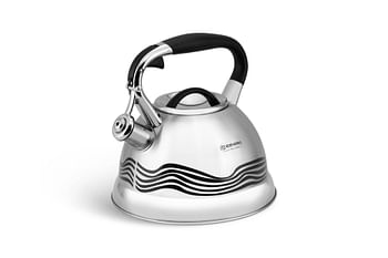 EDENBERG 3.0L Kettle with Nylon Handle | Stovetop Kettle for Water & Tea | Food Grade Stainless Steel Tea Kettle with Nylon Handle | Silver, 3.0L 