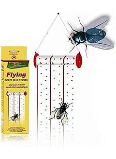 Flying Insect Glue Sticker Smart Innovation Flying Insect Glue