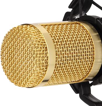 Wired Condenser Microphone, High Output and Low Noise Broadcast Recording Mic, XLR to 3.5mm Microphone with Shockproof Mount, Suitable for Recording Studios