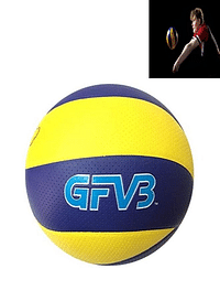 VolleyBall GFV200