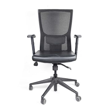 Lower Back Office Chair with Adjustable Armrest Up and Down