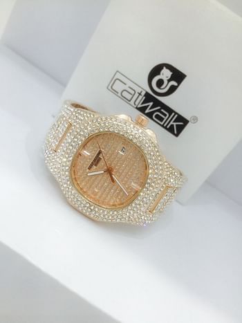 Catwalk CW2022 Fashionable Cz Stone Covered Analog Stainless Steel Silver Dial Watch + Date Display for Women  with Gift Box- Assorted Color