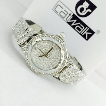 Catwalk CW2022 /2 Fashionable Cz Stone Covered Analog Stainless Steel Silver Dial Watch + Date Display for Women  with Gift Box- Assorted Color