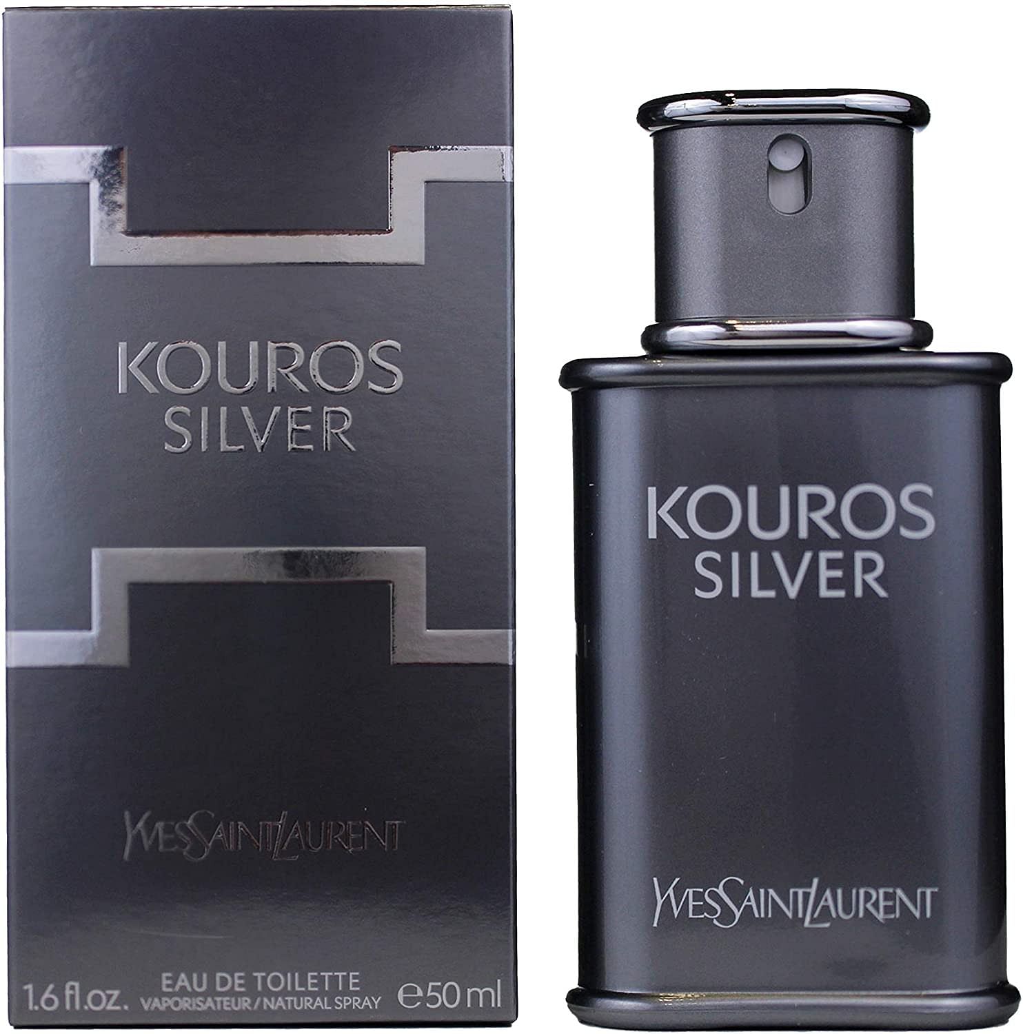 Kouros silver eau de toilette on sale