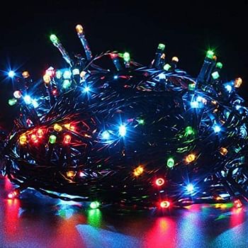 100 Led Decorative Lights