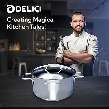 DELICI DSPD 24W Stainless Steel Saucepan