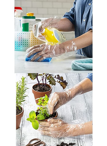 100 Piece Plastic Disposable Latex and Powder Free Clear Gloves