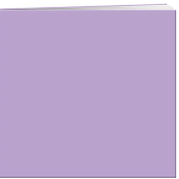 Pioneer Pastel Leatherette Post Bound Album 12