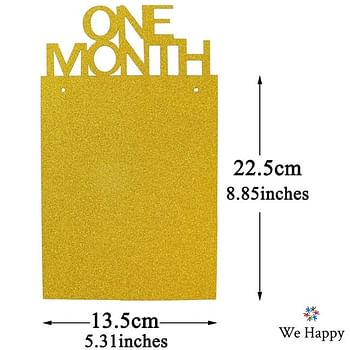 New Born to Twelve Months Birthday Photo Frame Banner for kids | 1st Birthday Decorations Party Props Picture Cards - Golden