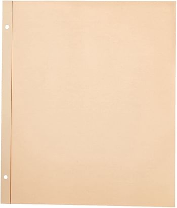 Pioneer SJ-50R 11-Inch-by-14-Inch, Postbound Refill Pages, 25 Per Package