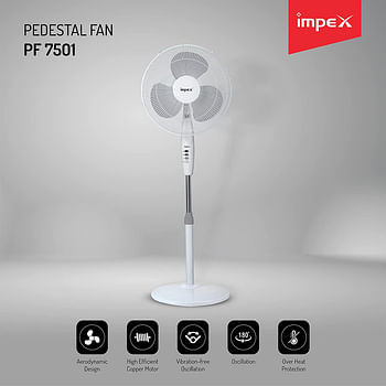 Impex  55W 16" Pedestal Stand Fan with 3 Speed Control and Light, White