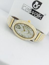 Catwalk CW2022/4 Fashionable Cz Stone Covered Analog Stainless Steel Silver Dial Watch for Women  with Gift Box- Assorted Color