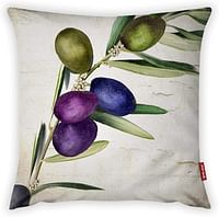 Mon Desire Decorative Throw Pillow Cover, Multi-Colour, 44 x 44 cm, MDSYST3205