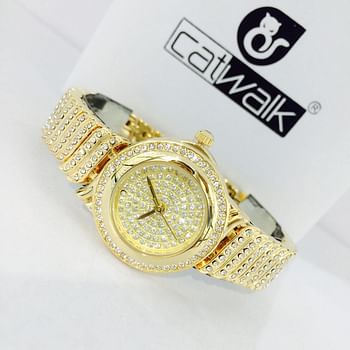 Catwalk CW2022 /2 Fashionable Cz Stone Covered Analog Stainless Steel Silver Dial Watch + Date Display for Women  with Gift Box- Assorted Color