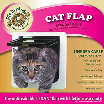 Ideal Pet Products Cat Flap Door with 4 Way Lock, 6.25
