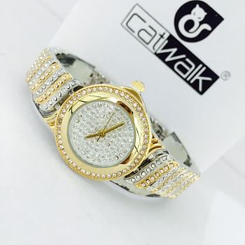 Catwalk CW2022 /2 Fashionable Cz Stone Covered Analog Stainless Steel Silver Dial Watch + Date Display for Women  with Gift Box- Assorted Color