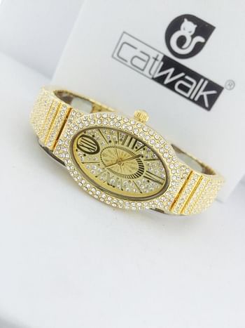 Catwalk CW2022/7 Fashionable Cz Stone Covered Analog Stainless Steel Silver Dial Watch for Women  with Gift Box- Assorted Color