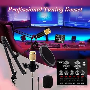 V8 Live Sound Card Microphone Set With Rechargeable 12 Kinds Of Auxiliary Background Sound K Song Singing Equipment With Bluetooth Connection