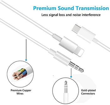 Trands 2 in 1 Lightning and Type-C Aux Audio Cable TR-CA744