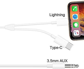 Trands 2 in 1 Lightning and Type-C Aux Audio Cable TR-CA744