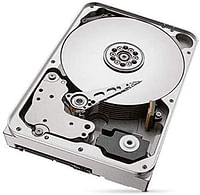 Seagate IRONWOLF 12TB 7200rpm 256MB Silver/One Size