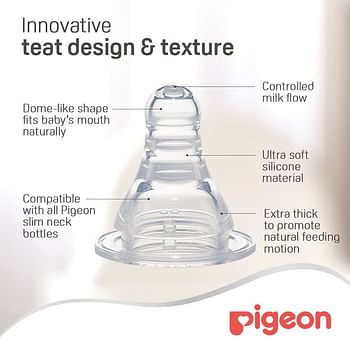 Pigeon Glass Nursing Bottle, Assorted, 4+ Months, 240 ml, Clear