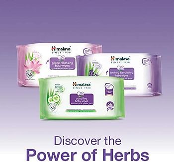 Himalaya Soothing & Protecting Baby Wipes Alcohol & Paraben Free for Sensitive Skin - 224 Wipes.