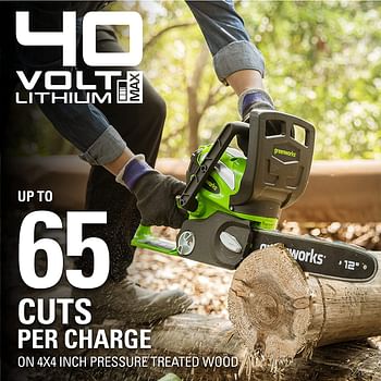 GreenWorks 40V 12-Inch Cordless Chainsaw, Tool Only/40V 12" Chainsaw