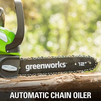 GreenWorks 40V 12-Inch Cordless Chainsaw, Tool Only/40V 12" Chainsaw