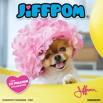 Jiffpom (Jiff the Pomeranian) 2021 Wall Calendar (Dog Breed Calendar)