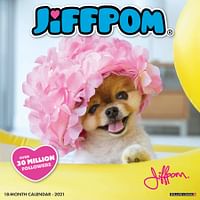 Jiffpom (Jiff the Pomeranian) 2021 Wall Calendar (Dog Breed Calendar) Multi Color/One Size