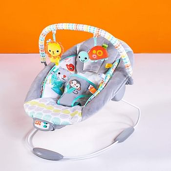 Bright Starts Whimsical Wild™ - Cradling Bouncer, Piece of 1 Whimsical Wild  Whimsical Wild