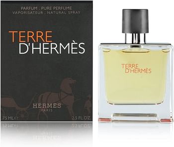 Terre D 'Hermes EDT Perfume for Men, 100 ml multi color