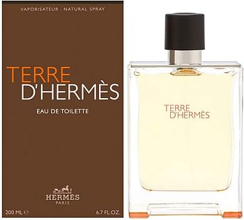 Hermes Terre D'Hermes - perfume for men - Eau De Parfum, 75ml multi color