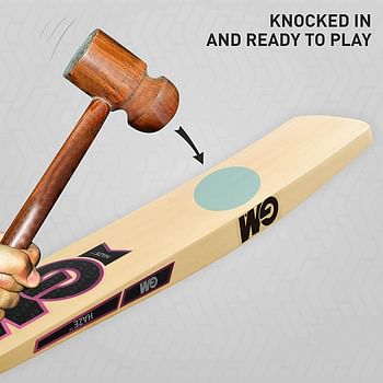 GM Haze Apex Kashmir Willow Cricket Bat with Cloth Cover on Face | Size-3 | Light Weight | Free Cover /Multi Color/One Size