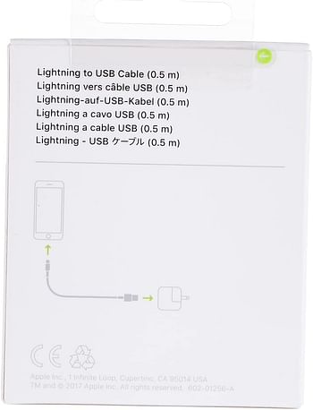 Apple Lightning to USB Cable 0.5m White