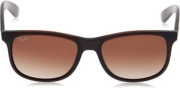 Ray-Ban RB4202 Andy Rectangular Sunglasses Matte Brown-Brown Gradient/55 Millimeters